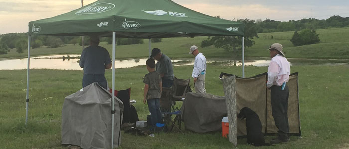 Behind the line at the Open